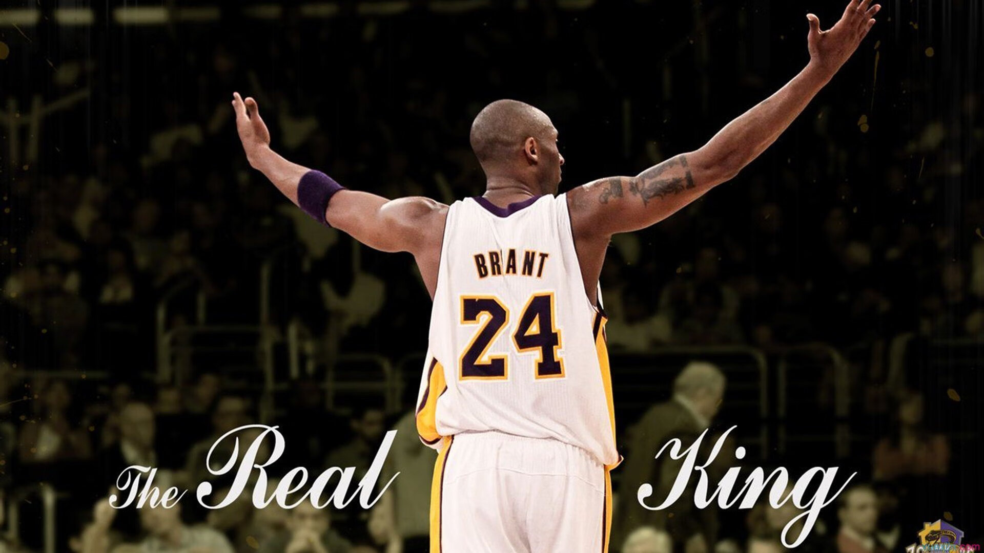 夺冠热门遭遇冷门突袭，观众惊呼不已！，热门夺冠选手