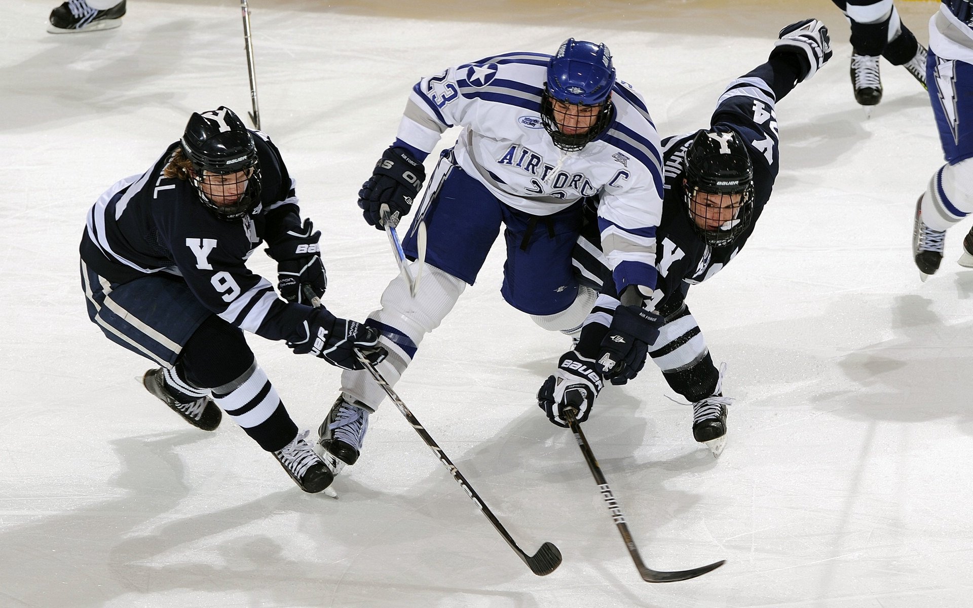 德甲激战，球迷表达支持，德甲现场