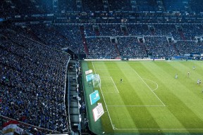 纵横球场：全球篮球精英争夺夺冠宝座，纵横篮坛